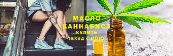 хмурый Вяземский