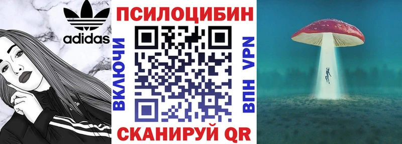 Псилоцибиновые грибы Magic Shrooms Петровск-Забайкальский